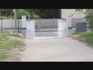 Le portail automatique