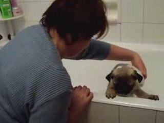 Bain de Donuts et velours