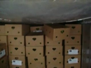 Import export business tuition system for those in the Austr