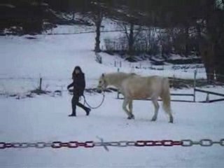 Garry - Travail à pied (hiver 2008)
