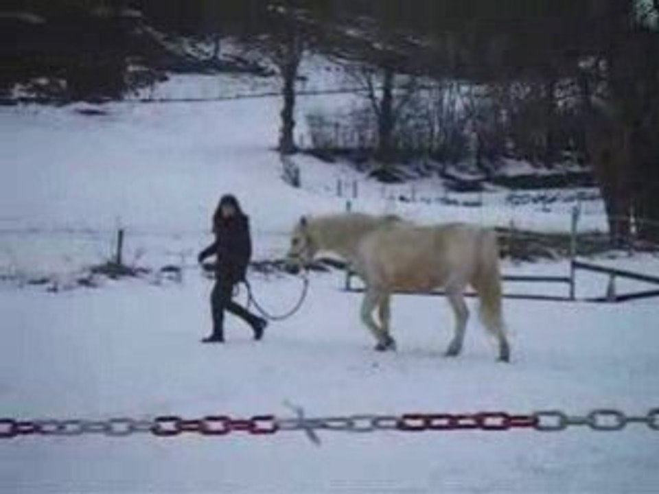 Garry - Travail à pied (hiver 2008)