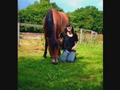 Poneys d'Equi Loisir.