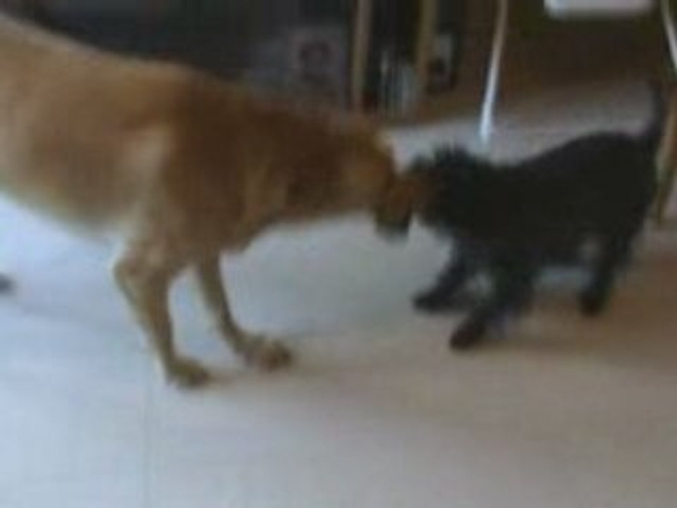 Nonoche & poupoune