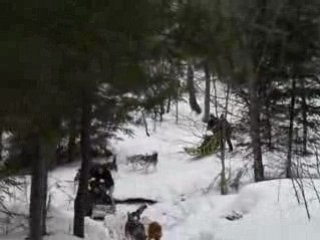 Un ptit trou d'eau...