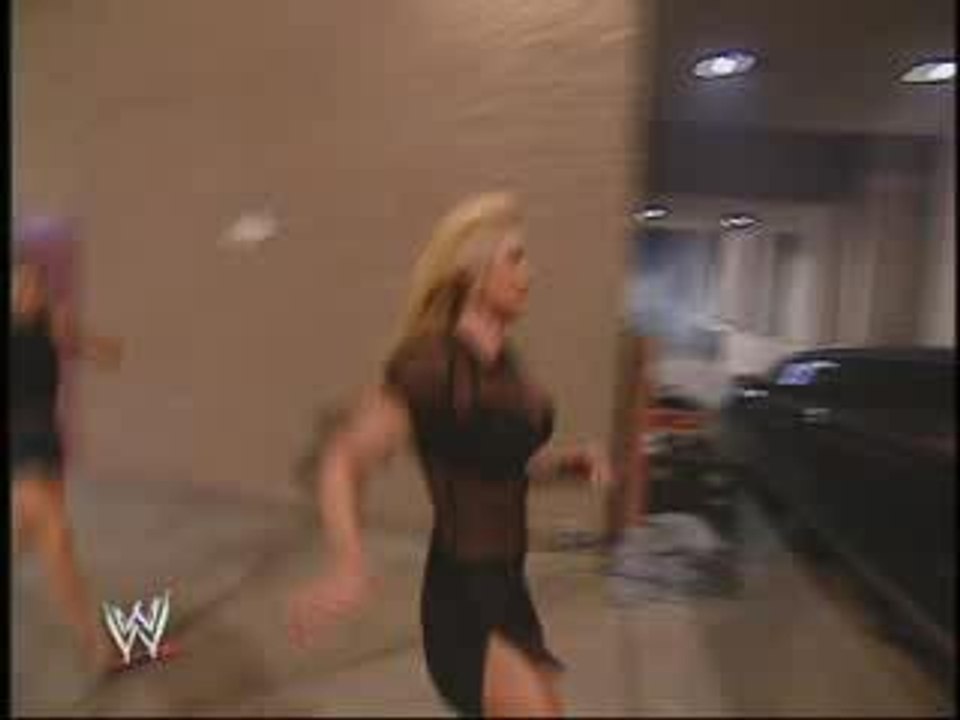 WWE Wrestling Stephanie