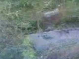 Swat Kabal attack Taliban