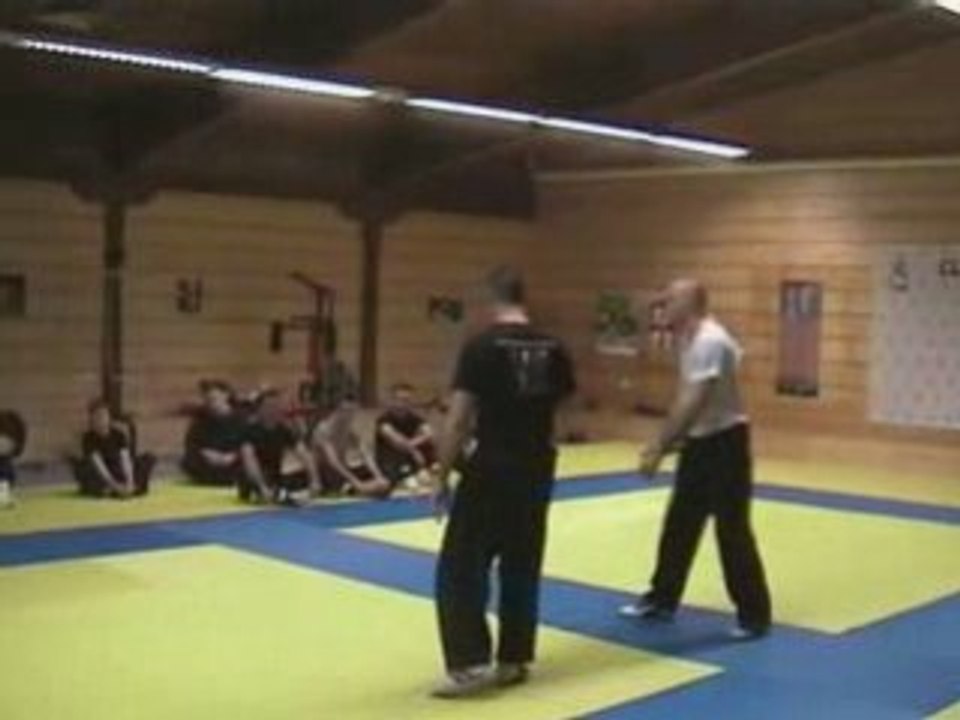 Krav maga 4 partie
