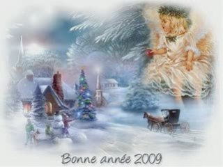 Bonne annee 2009