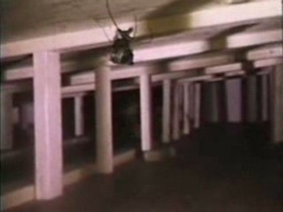 Vito Acconci - Seedbed (1972)