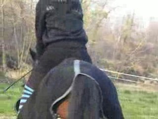 Name des elfes d'argents et moi