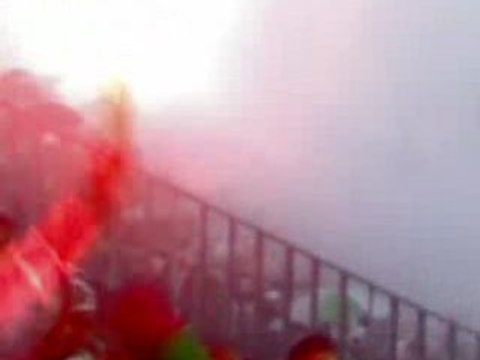 JSM Béjaia - ES Tunis (Supporters des lions de la soummam) 1