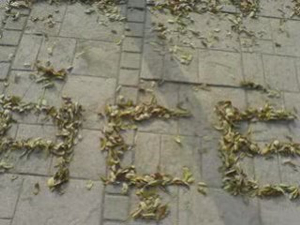 BatıKenT  ÇekimLerim .. Rpzf-Sgk ve Krnlk