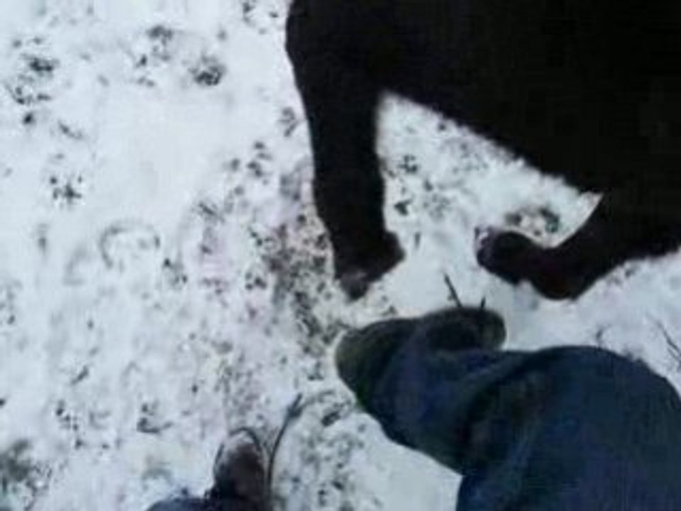 toundra apprend la jambette