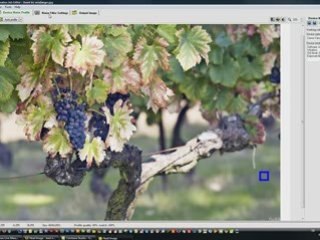 Vidéo tutoriel n:2 Neat Image