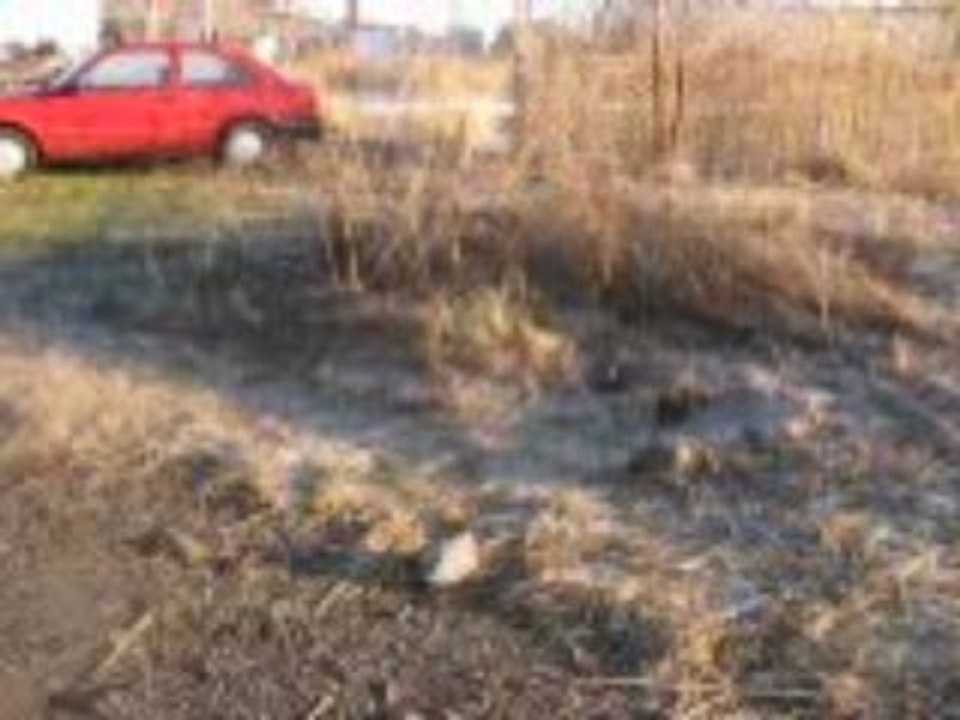 Buzlar geldi 01.01.2009 002