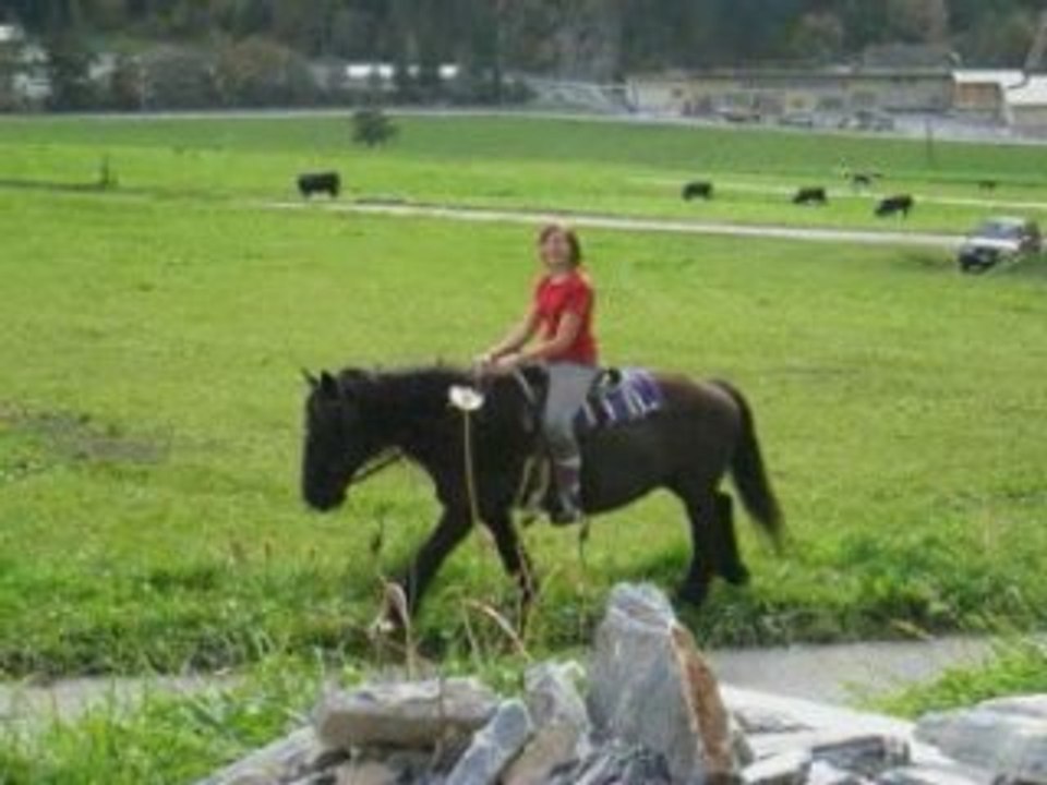 Hommages à ma première jument