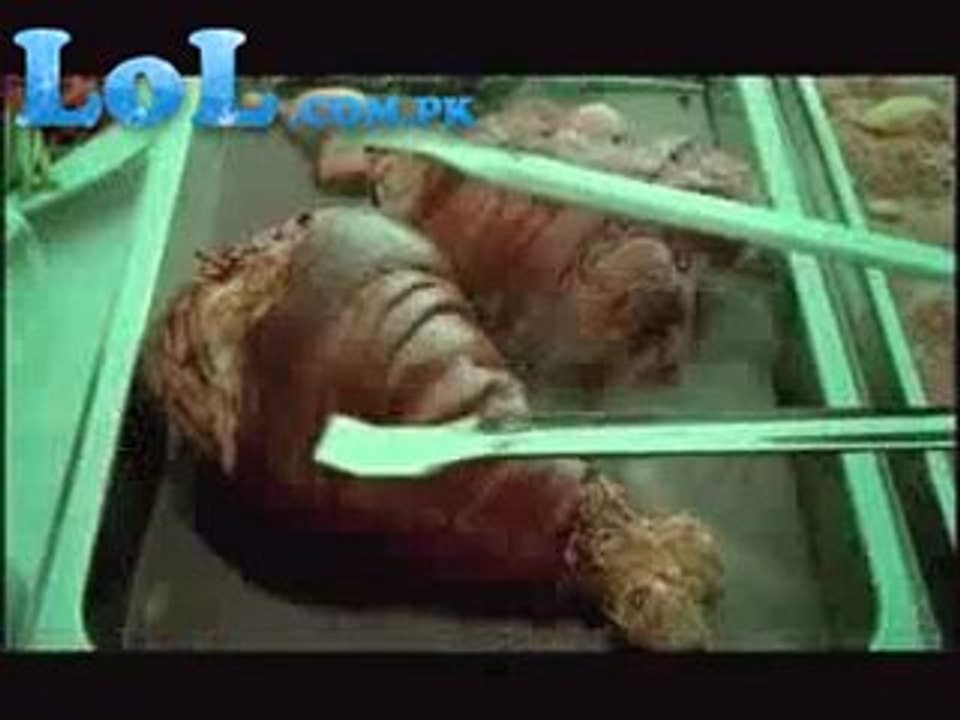 Funny Diet Commercial