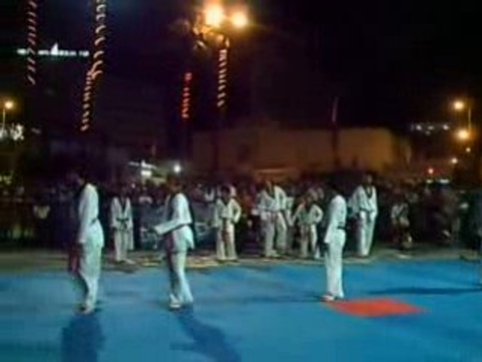 Taekwondo Maitre Son Min Kyu