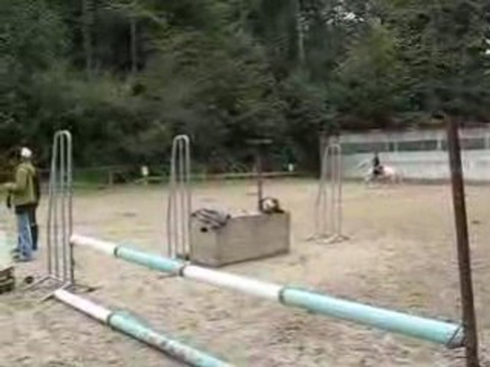 Moi et Handy en saut d'obstacle