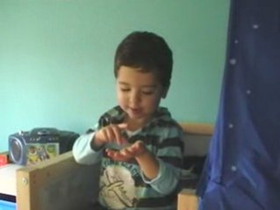 Histoire du papillon