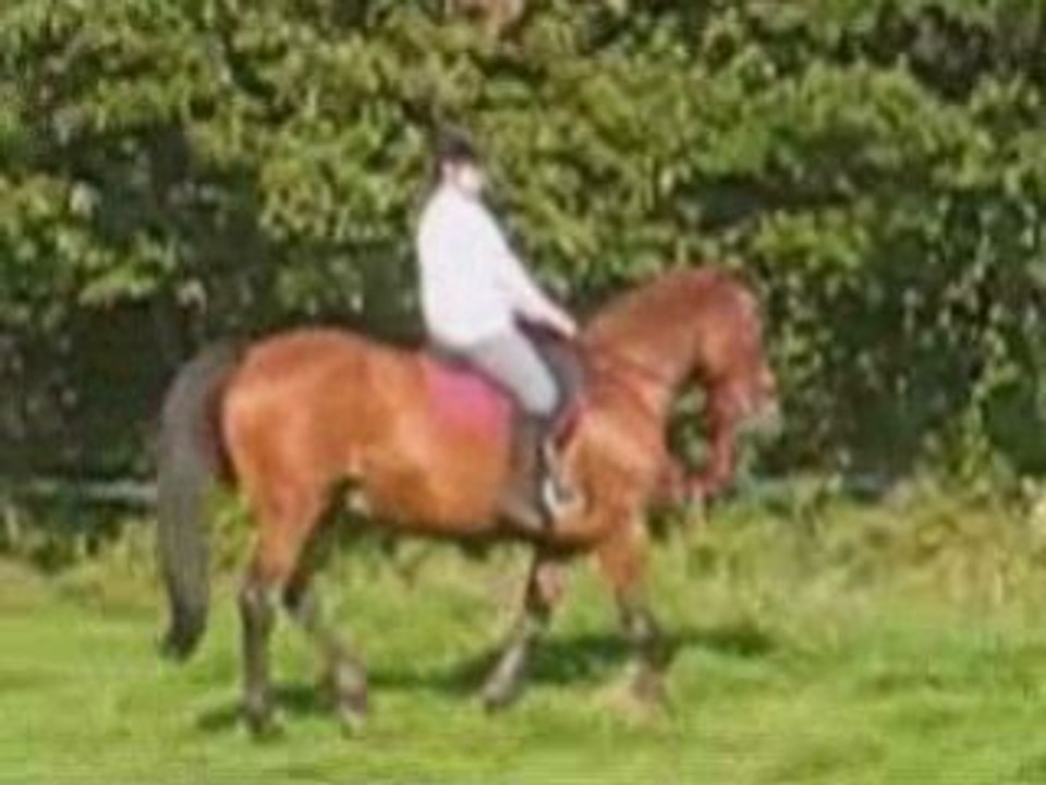 Quand Iowa apprend l'obstacle...