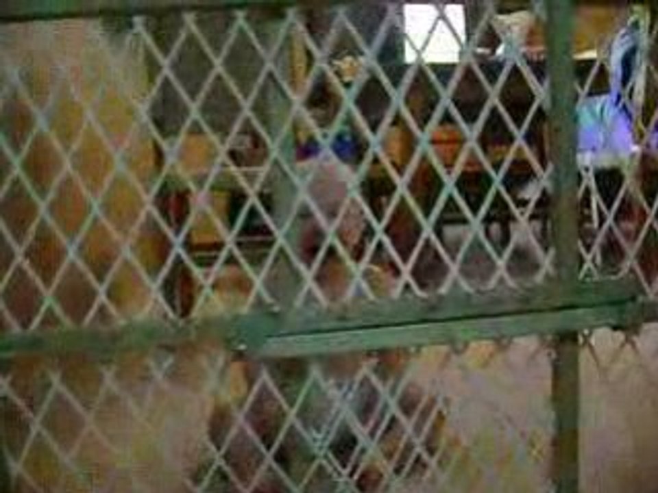 MOV02608