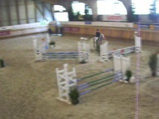 Euro poney Moi et perle