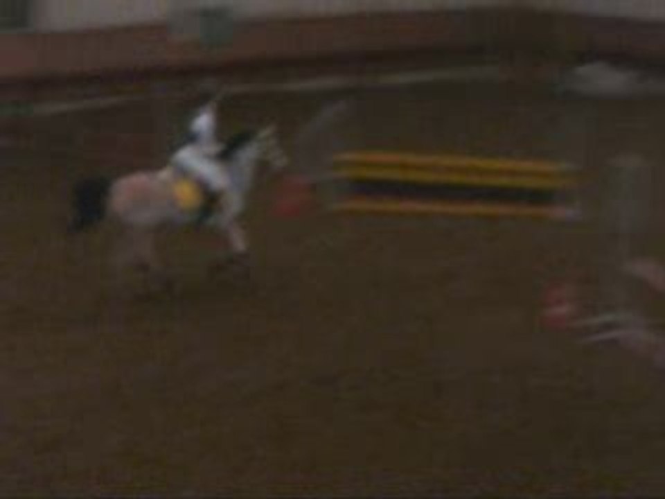 CSO décembre 2008 UCPA relais à l'américaine