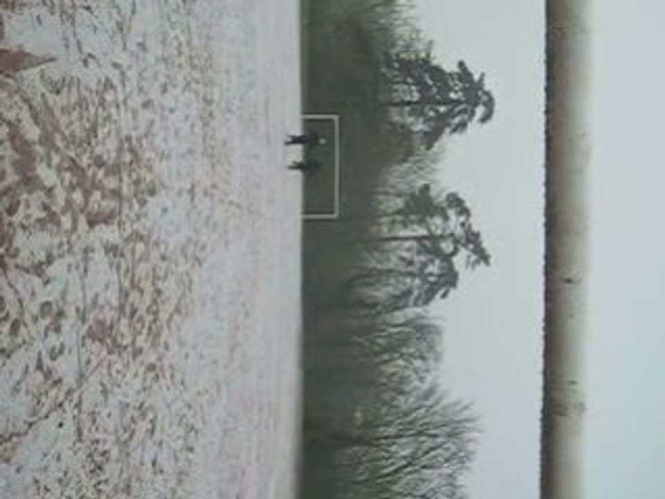FOOT 2008