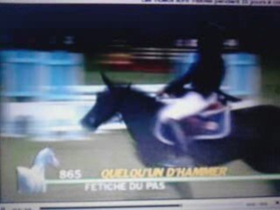 Quelqu'un D'hammer
