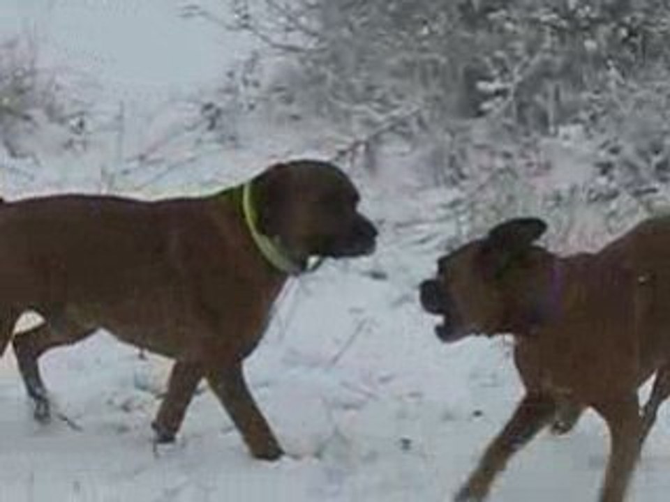 vailant et roxane