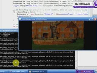 Tomb Raider Java Escape FMV Player