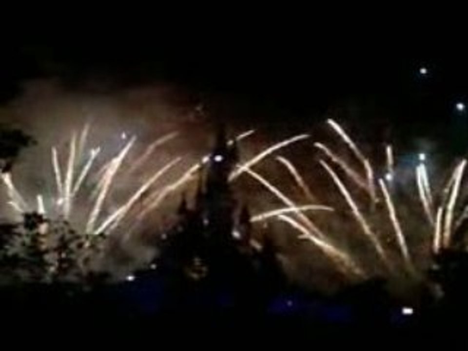 15ans disneyland Paris (31decembre2008 00h)