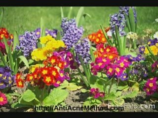 Get rid of all your skin problems NOW