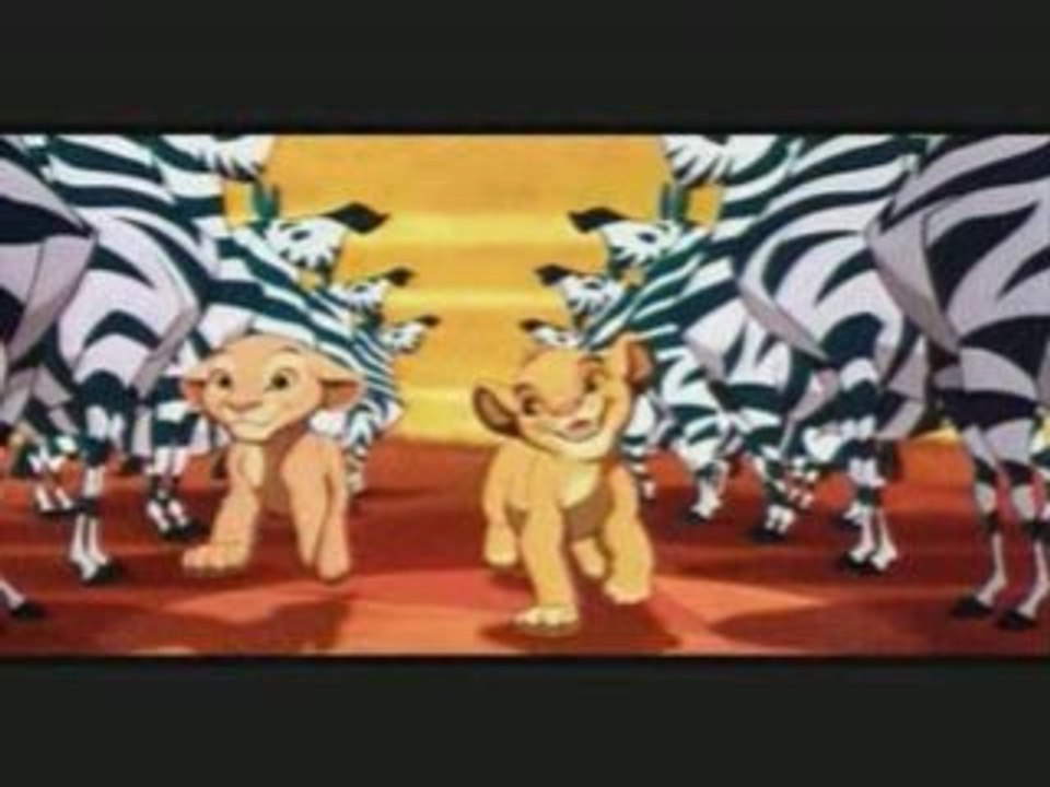 Simba,le roi lion...