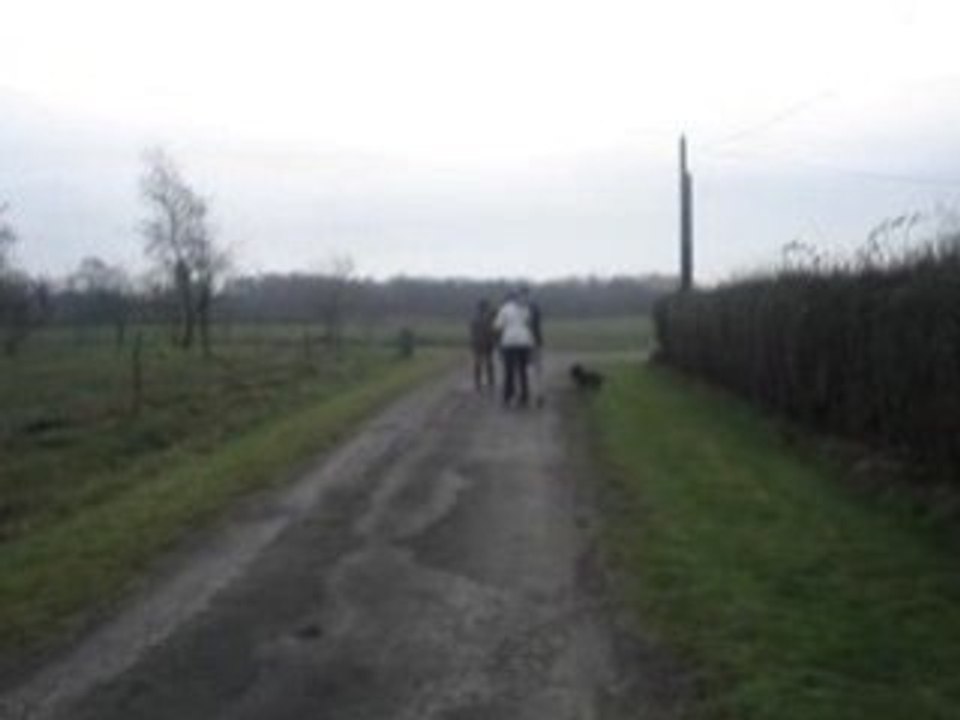 roller joering... la suite