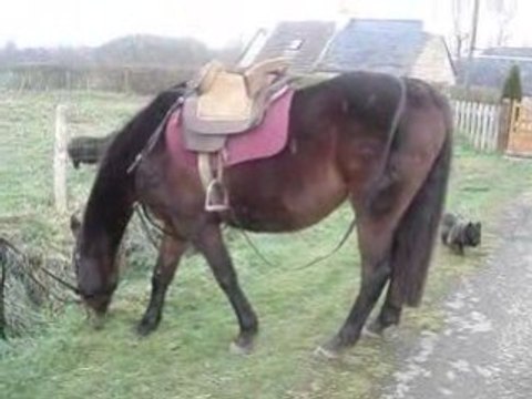 Préparation au roller joering