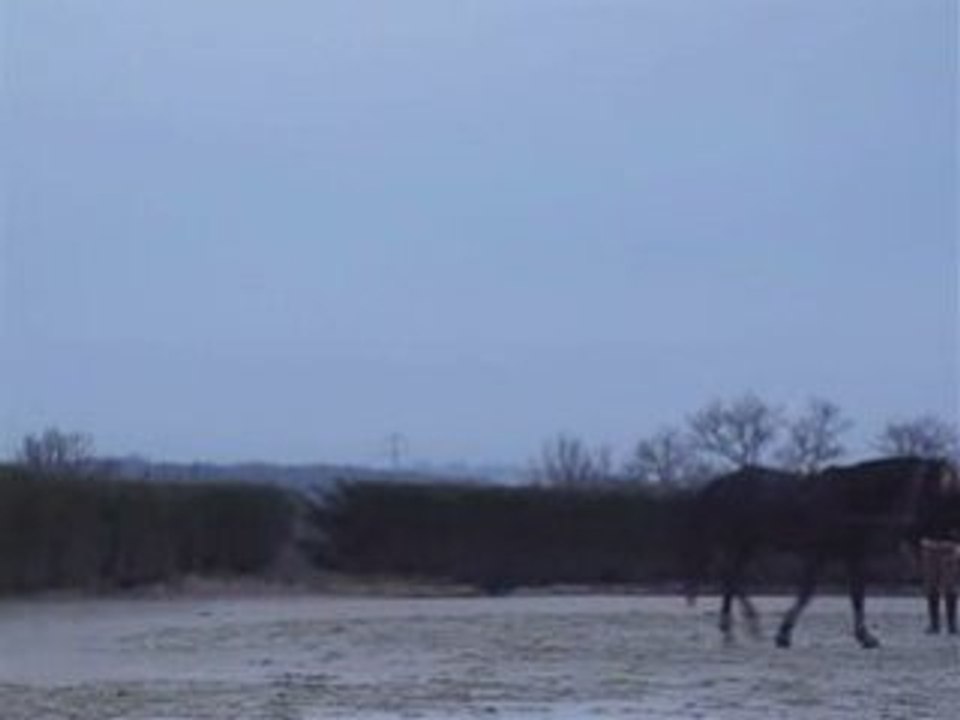 Longe olten 1janvier2009