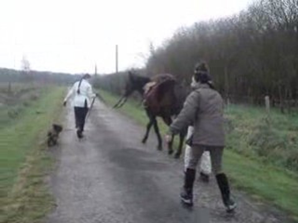 C'est partiiiiii!!!!