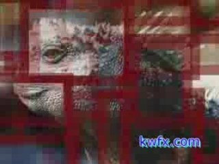 Strange and odd creatures!