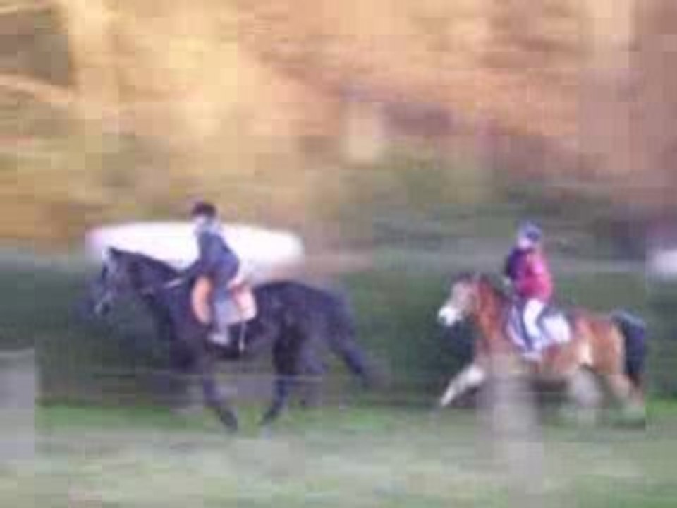 Anais et Charlene, galop en forêt