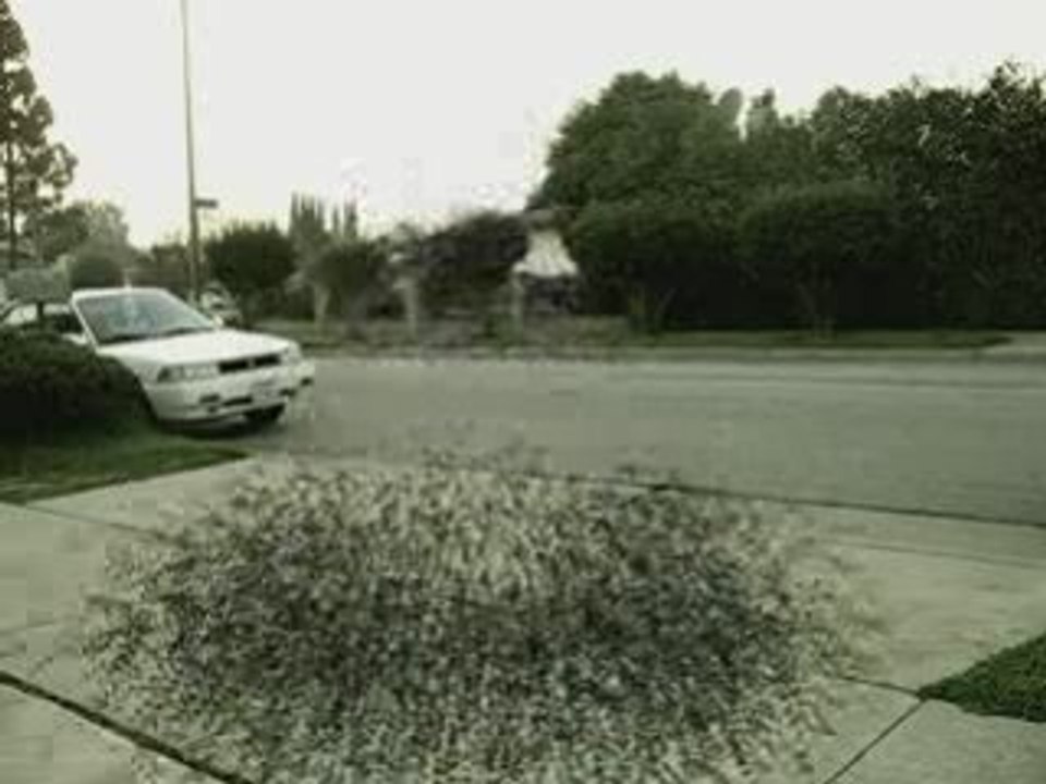 After effect (Shatter Particular)