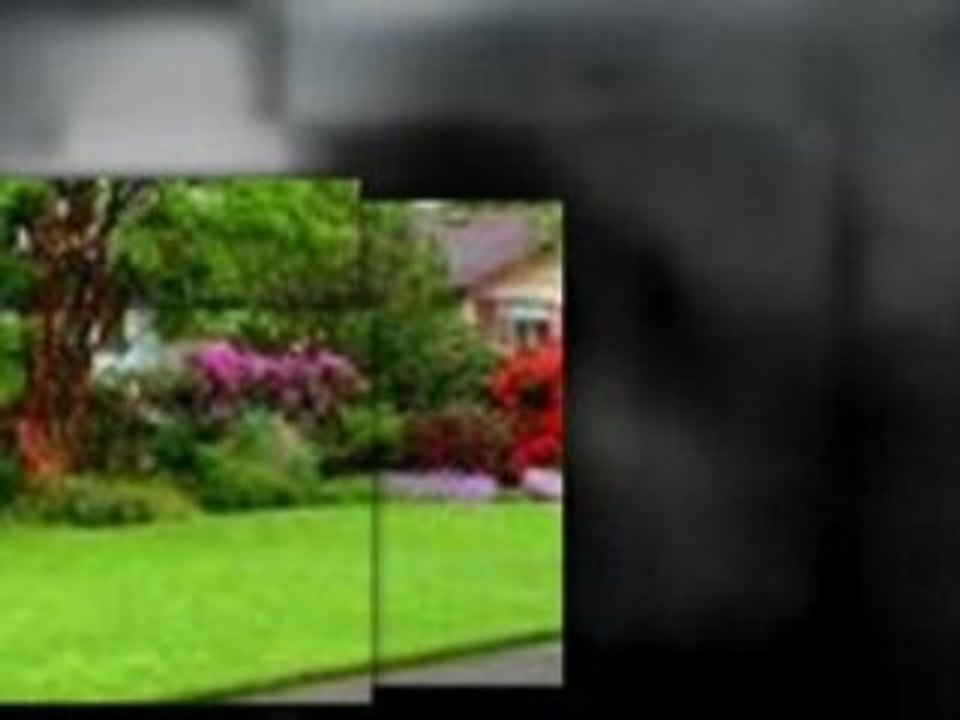 2009 Specials! 1-877-Mow-Plus Naples, Fl Lawn Service