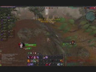 Warhammer witch elf pvp2