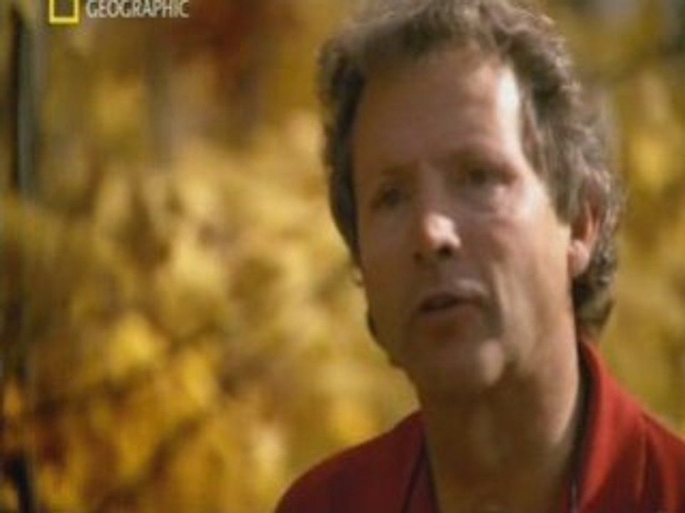 Frappé par la foudre Partie 1