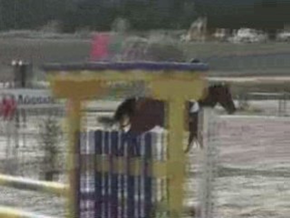 Mystique d'Eole  Grand Prix 115 cm