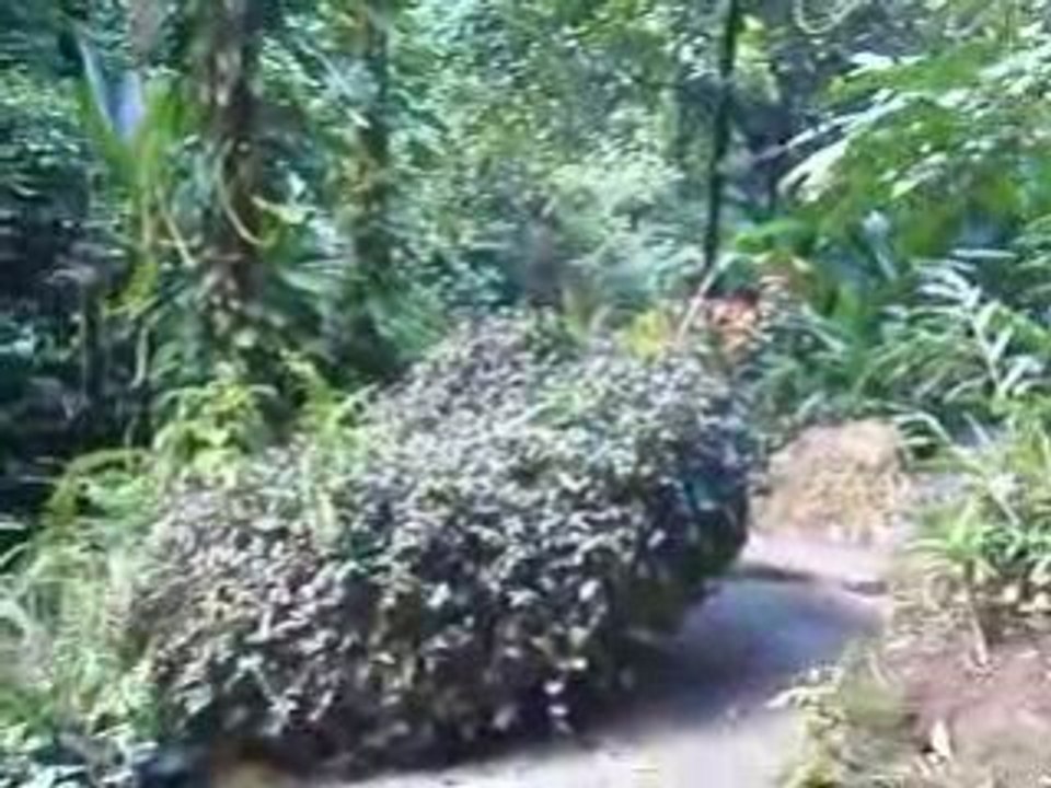 Sainte Lucie 1 (déc.2008)