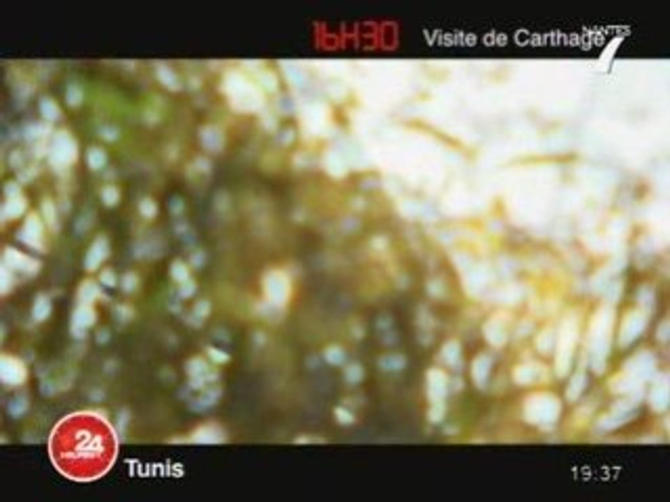 Voyage : 24 Heures à...Tunis