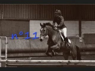 CSO Elmo novembre 2008