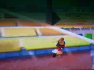 Super Mario Sunshine Bug